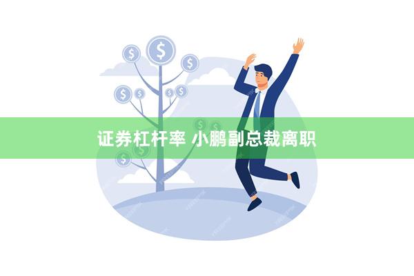 证券杠杆率 小鹏副总裁离职