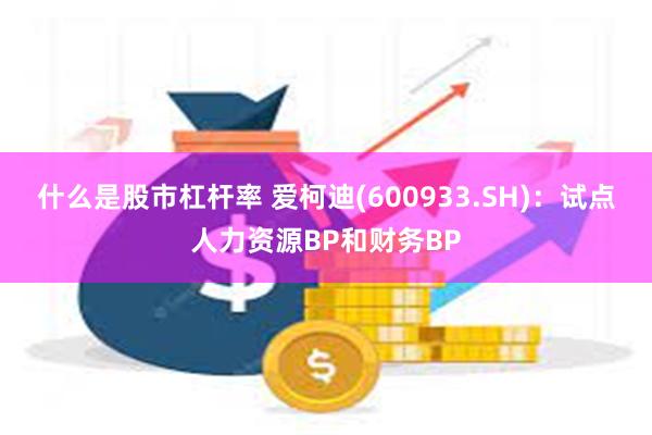 什么是股市杠杆率 爱柯迪(600933.SH)：试点人力资源BP和财务BP