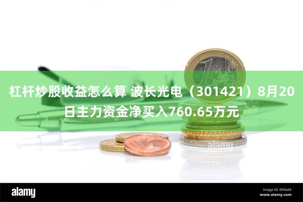 杠杆炒股收益怎么算 波长光电（301421）8月20日主力资金净买入760.65万元