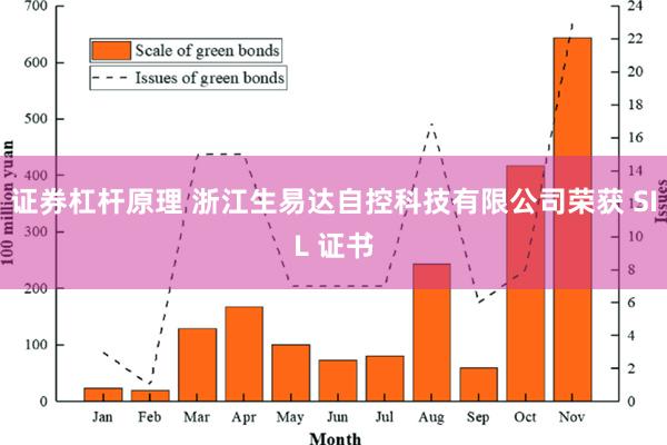 证券杠杆原理 浙江生易达自控科技有限公司荣获 SIL 证书