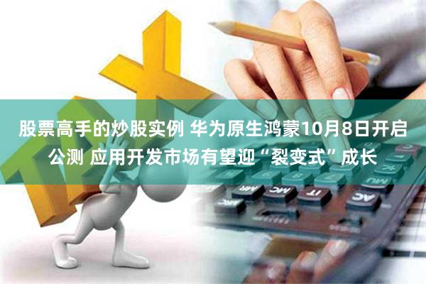 股票高手的炒股实例 华为原生鸿蒙10月8日开启公测 应用开发市场有望迎“裂变式”成长