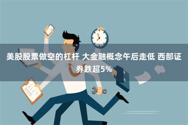 美股股票做空的杠杆 大金融概念午后走低 西部证券跌超5%