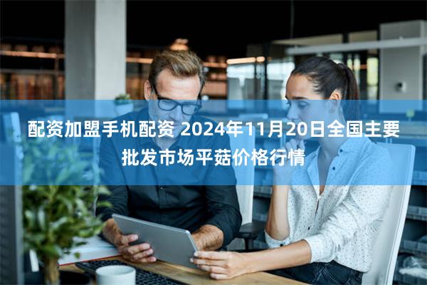 配资加盟手机配资 2024年11月20日全国主要批发市场平菇价格行情