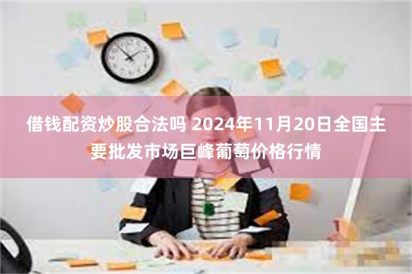 借钱配资炒股合法吗 2024年11月20日全国主要批发市场巨峰葡萄价格行情