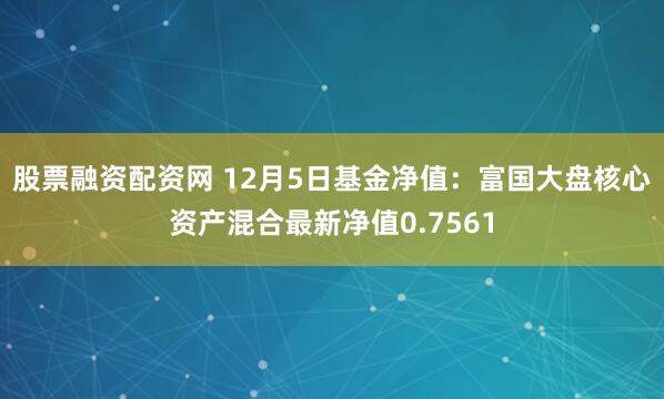 股票融资配资网 12月5日基金净值：富国大盘核心资产混合最新净值0.7561