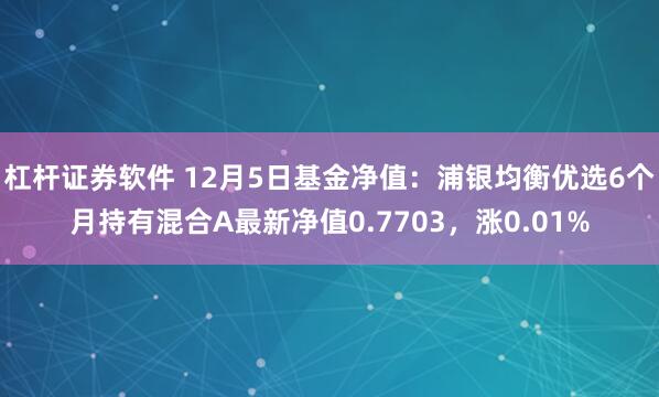 杠杆证券软件 12月5日基金净值：浦银均衡优选6个月持有混合A最新净值0.7703，涨0.01%