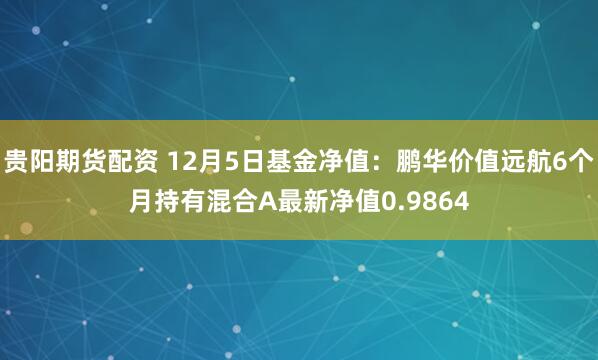 贵阳期货配资 12月5日基金净值：鹏华价值远航6个月持有混合A最新净值0.9864