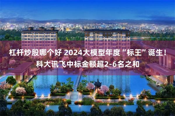 杠杆炒股哪个好 2024大模型年度“标王”诞生！科大讯飞中标金额超2-6名之和