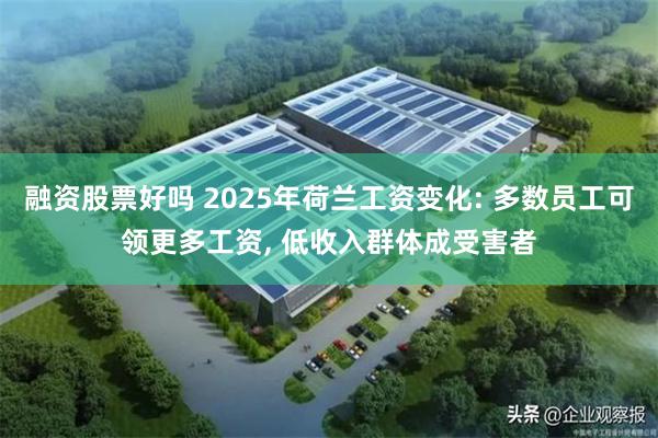 融资股票好吗 2025年荷兰工资变化: 多数员工可领更多工资, 低收入群体成受害者