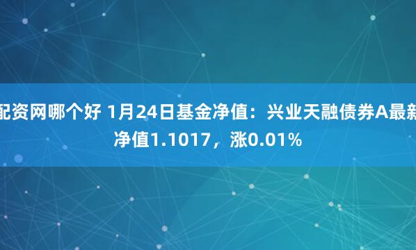 配资网哪个好 1月24日基金净值：兴业天融债券A最新净值1.1017，涨0.01%